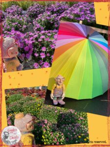 Three pictures of Mme Rigolotte, a wooden puppet. On one of them, she is in front of a rainbow umbrella, on two of them, she is looking at flowers of various colors
