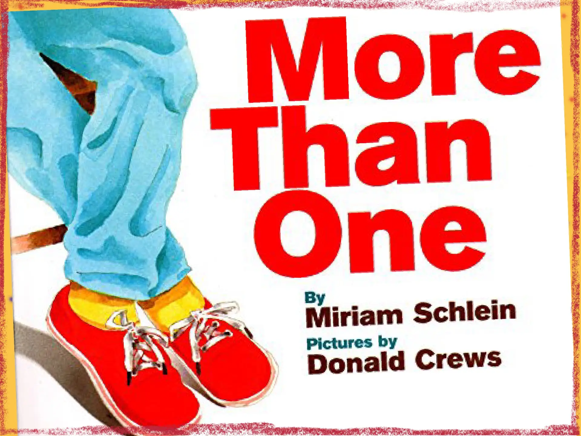 Cover page of the book More than One, by Schlein and Crews
