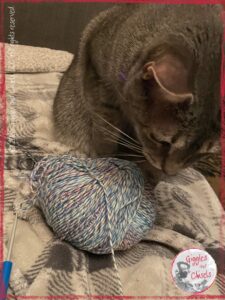 A cat, playing with yarn