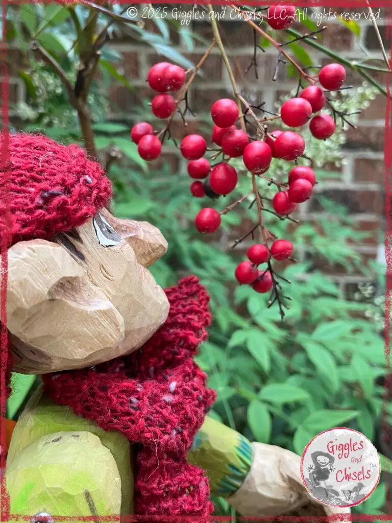 Pierre Qui Roule, a wooden puppet, looking at red berries