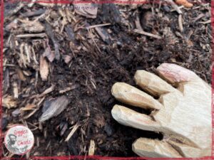 The hand of Pierre Qui Roule, a wooden puppet, touching wet dirt