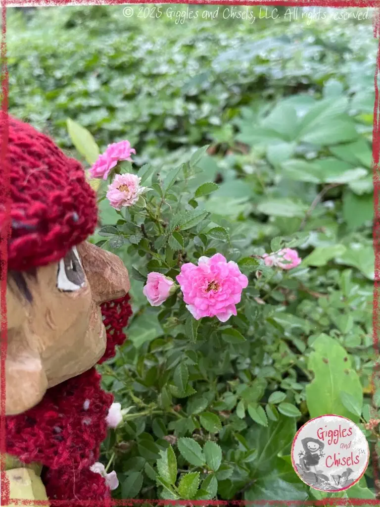 Pierre qui Roule, a wooding puppet, smelling a small rose