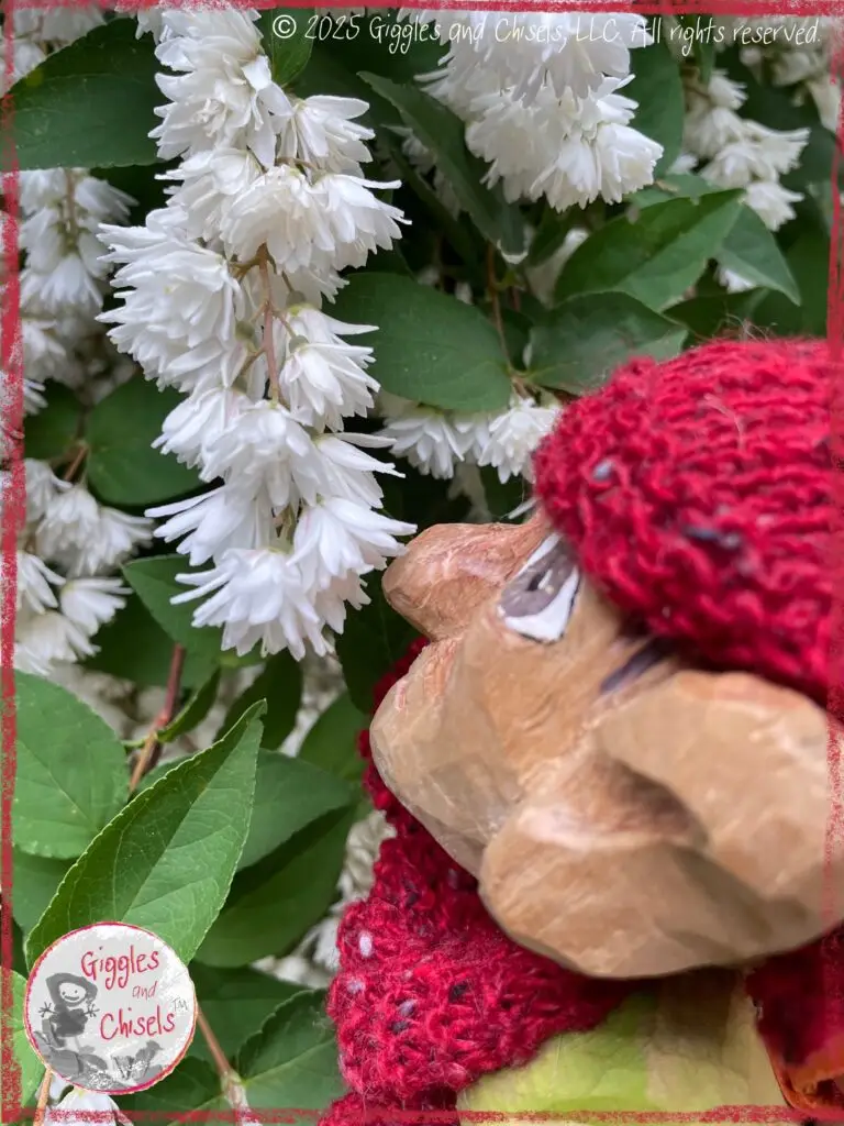 Pierre qui Roule, a wooding puppet, smelling a white flower