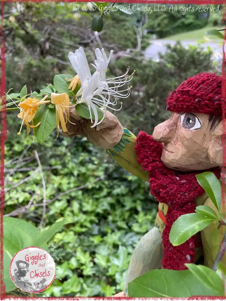 Pierre qui Roule, a wooding puppet, catching the flower of a honey suckle