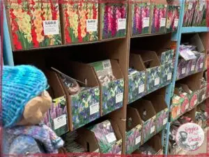 Petite Clothilde, a wooden puppet, in front of an aisle of flower seeds
