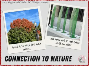A collage of two pictures, one with a sculpture of grass, one with a tree in the fall