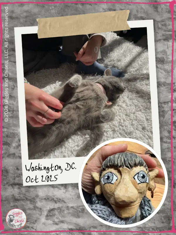 A picture of a hand, petting a gray cat