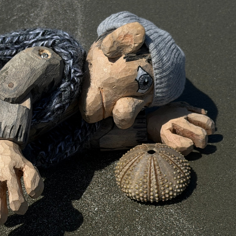 Maurice, a wooden puppet in grey color, looking at an urchin test