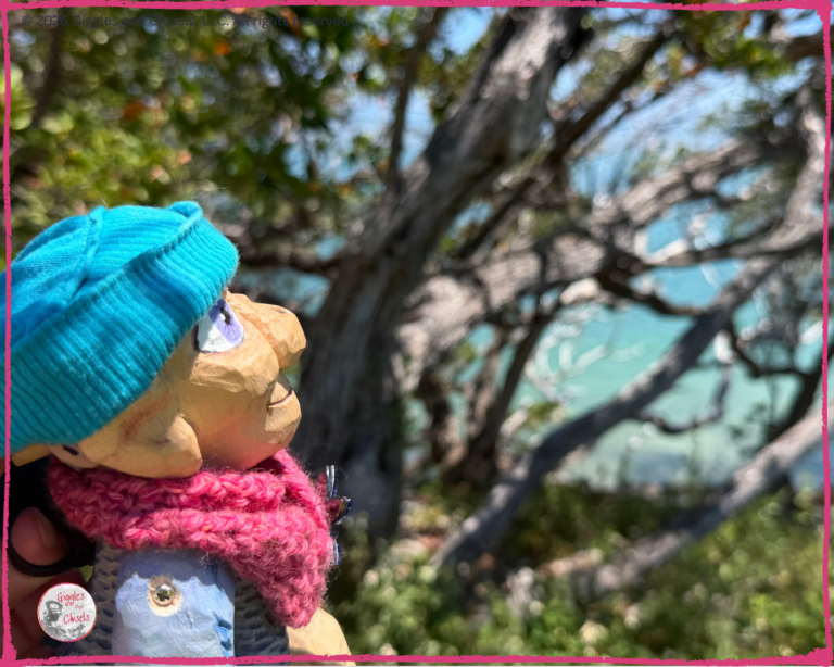 Petite Clothilde, a wooden puppet, looking at the see in Florida