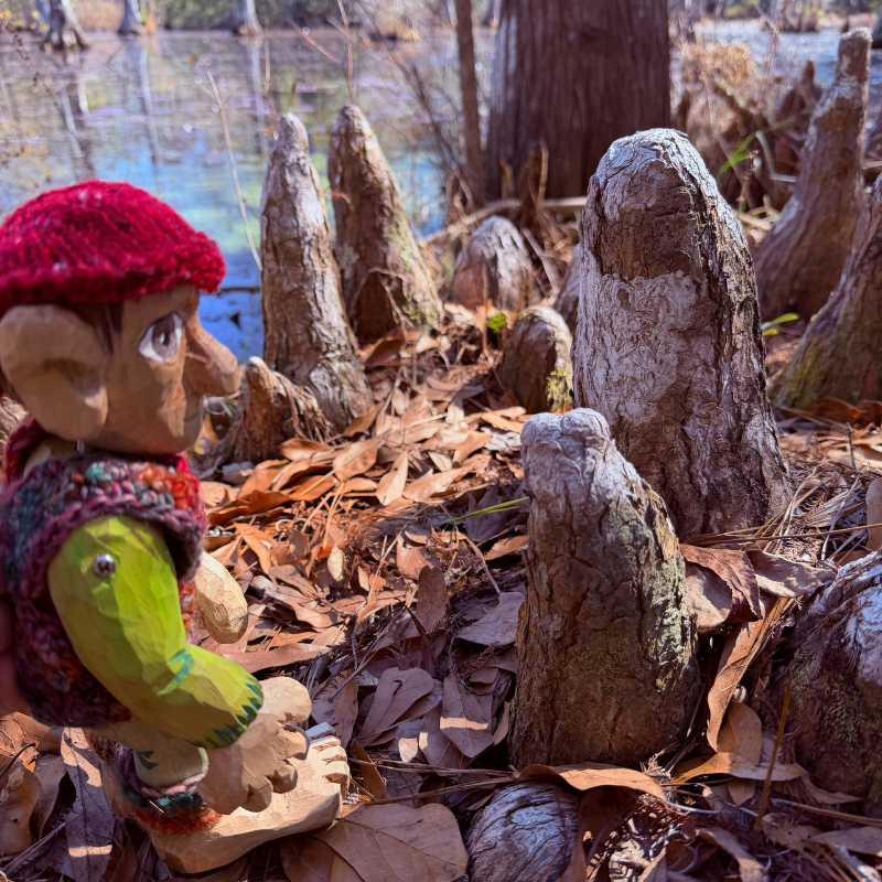 Pierre Qui Roule, a wooden puppet, talking to cypress roots