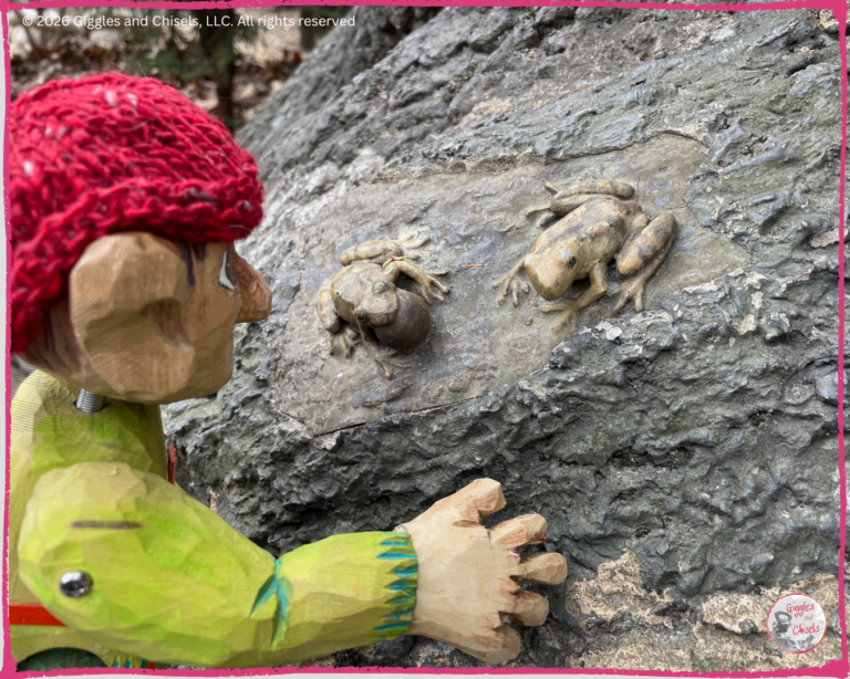 Pierre Qui Roule, a wooden Fellow, looking at two frog statues